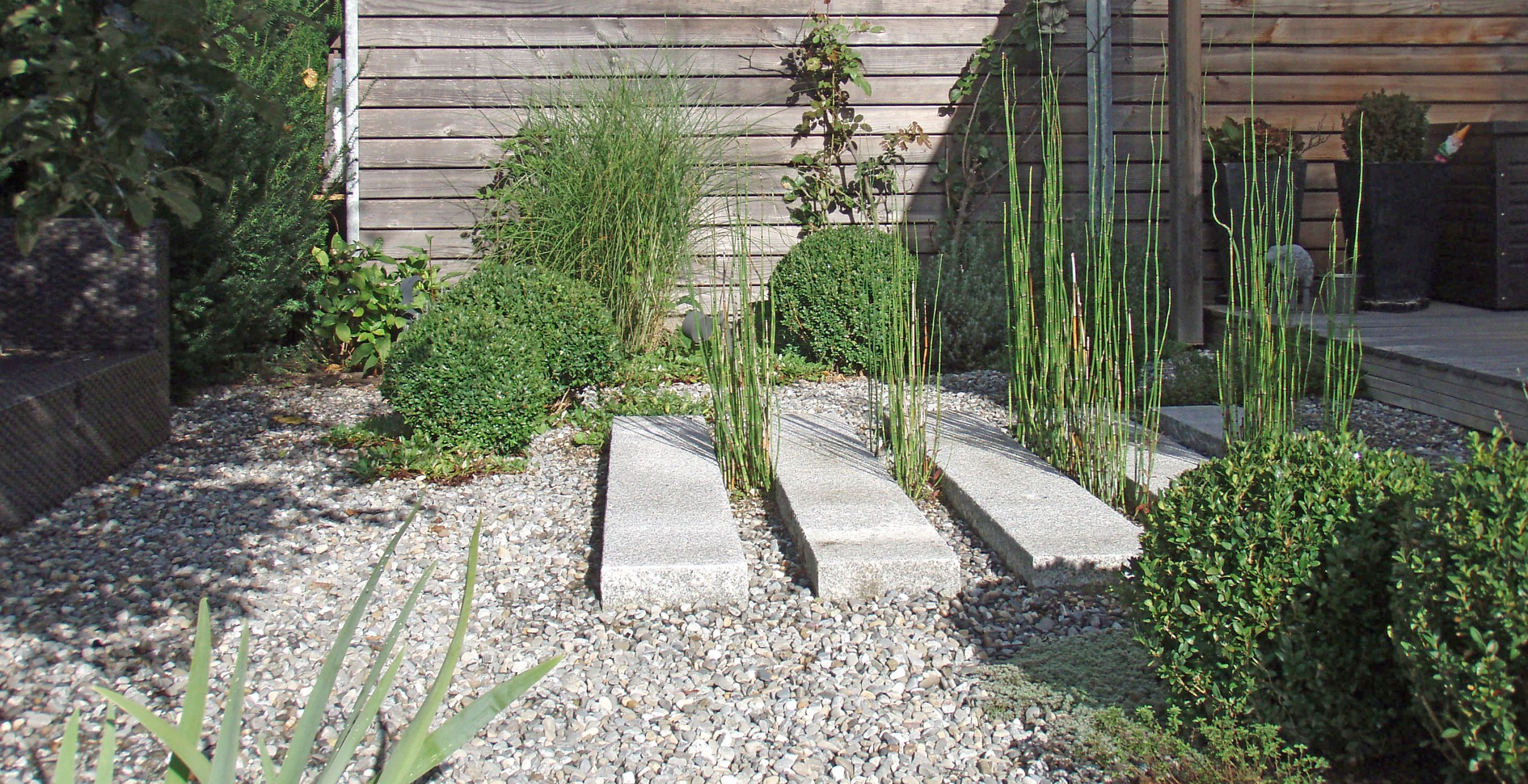 Kies-Garten mit Santolina