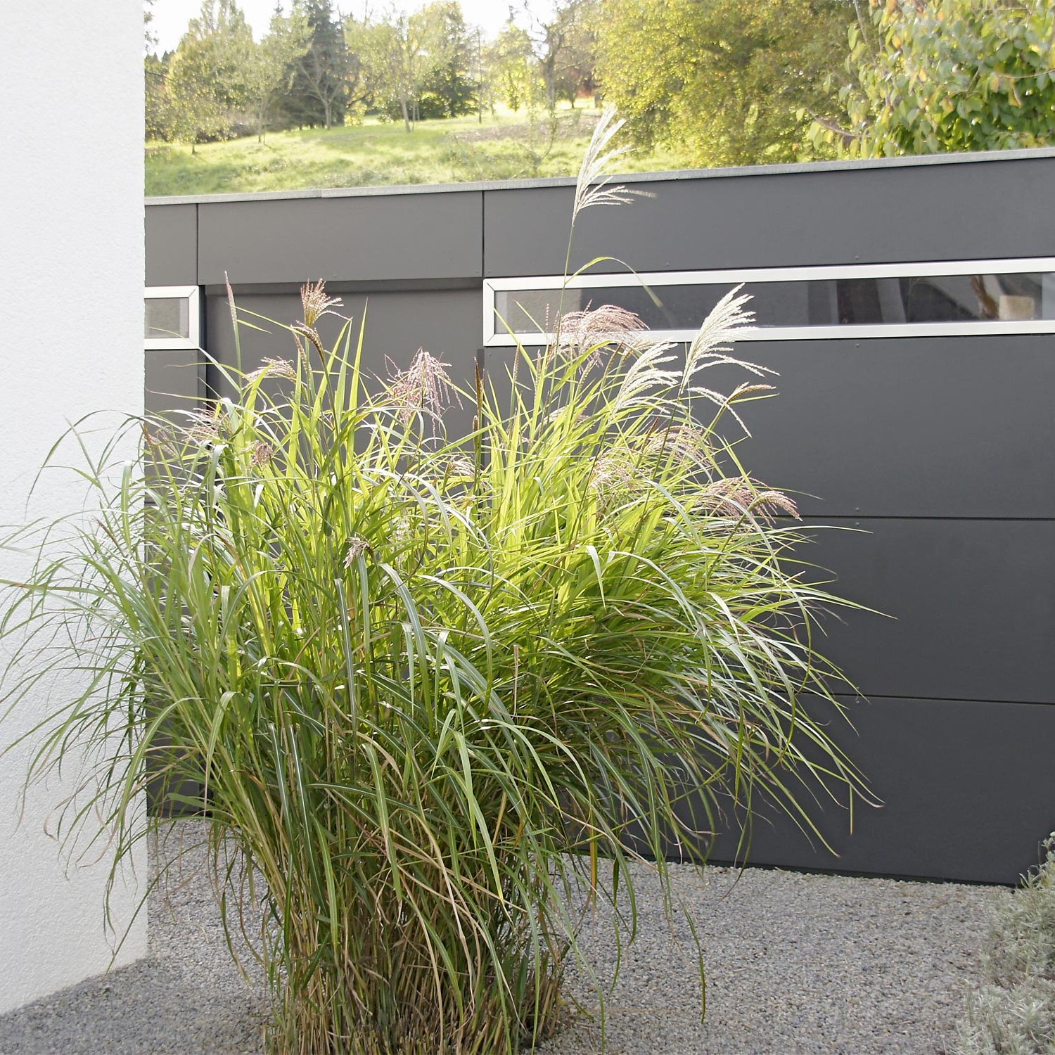 Gartenhaus in einem pflegeleichten Familiengarten in der Nähe von Nürtingen
