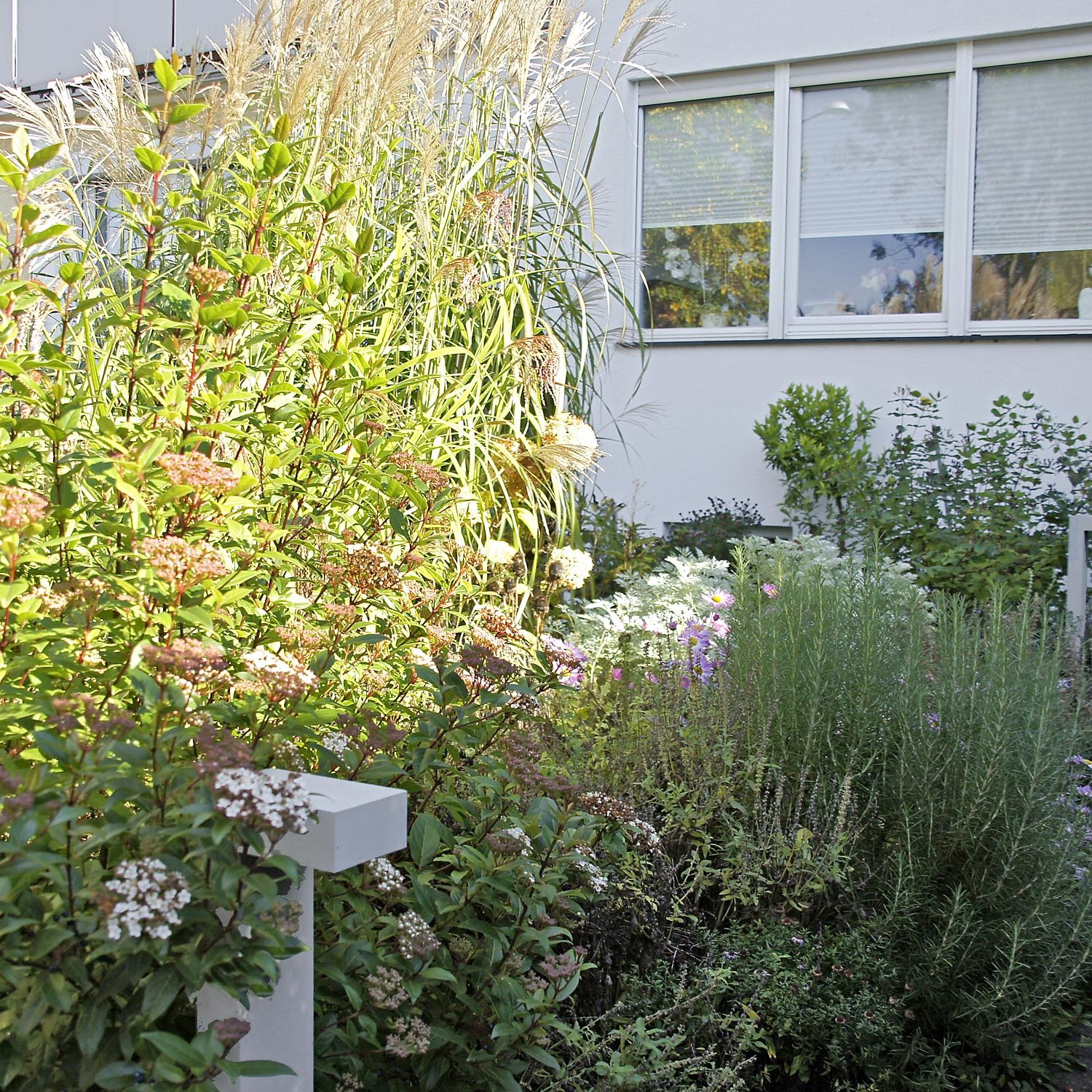 gartengestaltung bei einem Reihenhaus in der Nähe von Reutlingen