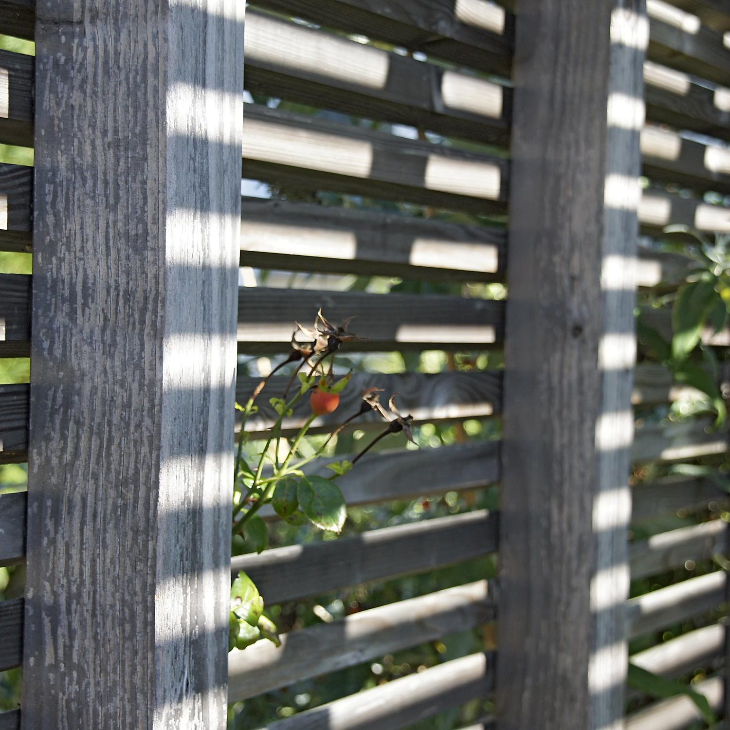 Detail der Pergola