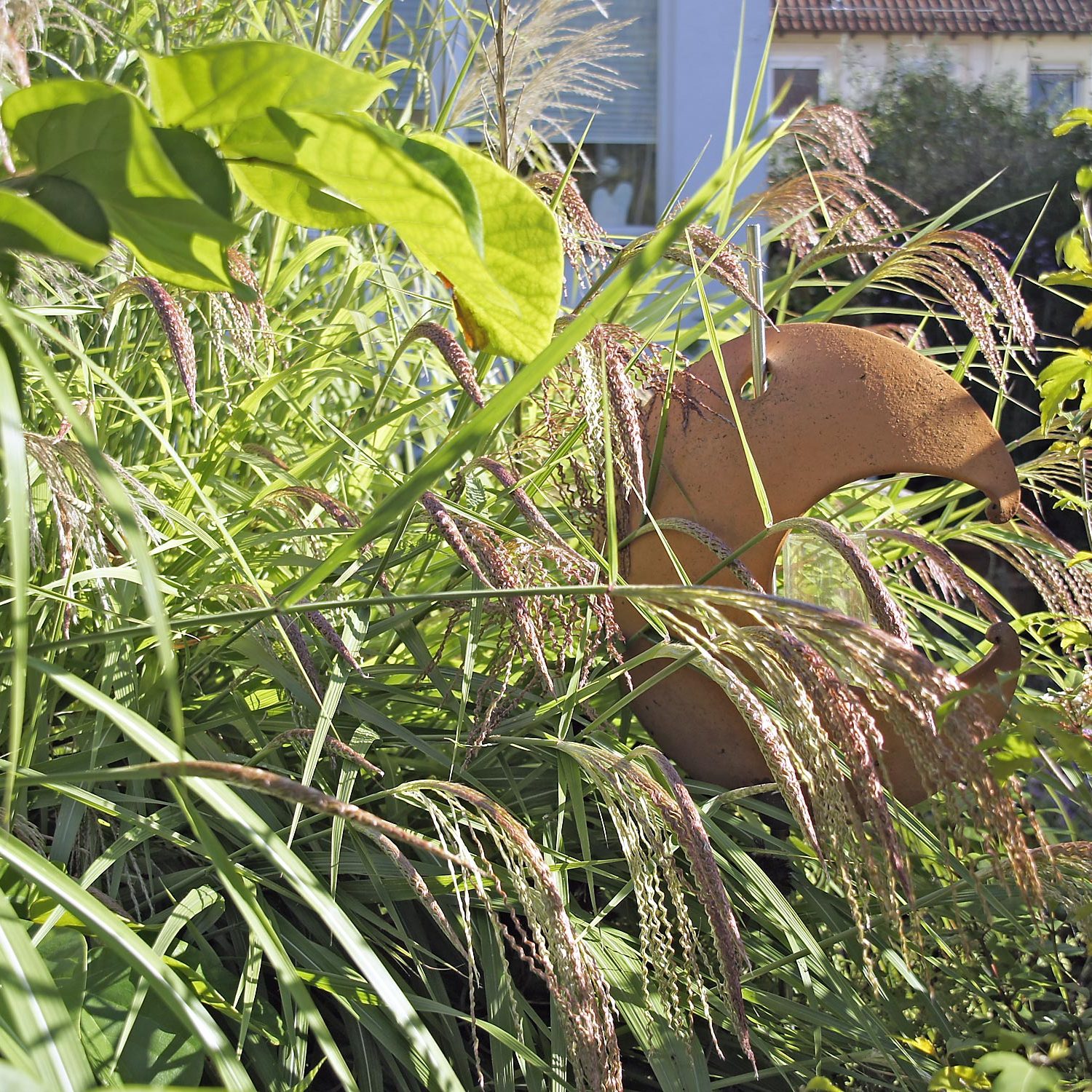 Gartengestaltung mit Stauden und Gräsern