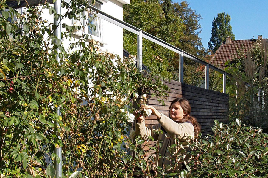 Stauden als Bienen-Weide in einem Garten bei Reutlingen